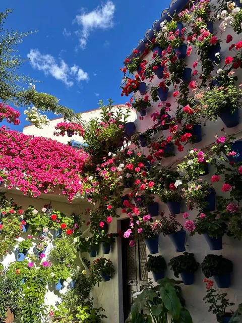 🌸 Córdoba Patio Festival: A Flower Lover's Paradise