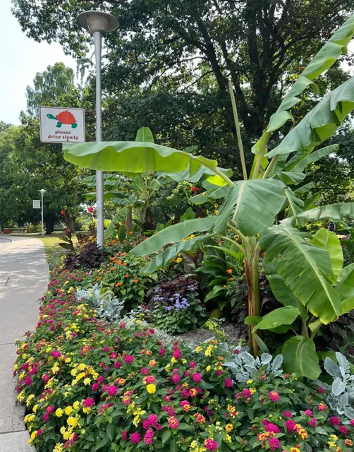 High Park: Toronto’s Urban Oasis