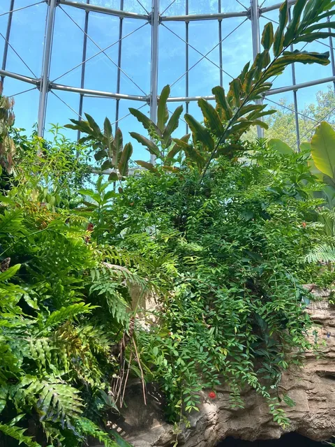 🏛️🌿Houston | Natural Science Museum 