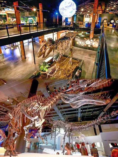 🇺🇸 The Ultimate Houston Guide — All You Need for a Short Trip!