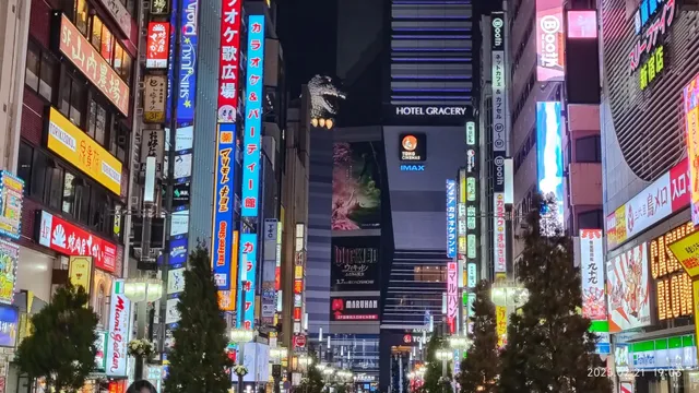 Arriving in Shinjuku, How Could You Miss Godzilla? 🦖