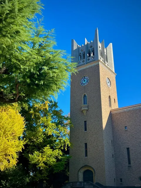 Waseda in November 🍂 is next-level beautiful.