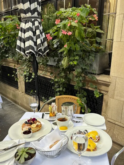 New York | Enjoy a Brunch in Central Park 🌳