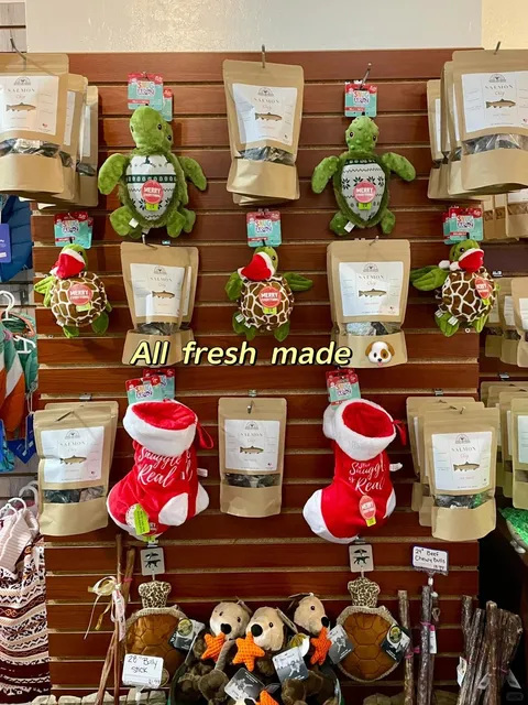 🇺🇸 Monterey’s Cannery Row — Such a Fun Coastal Town to Explore!