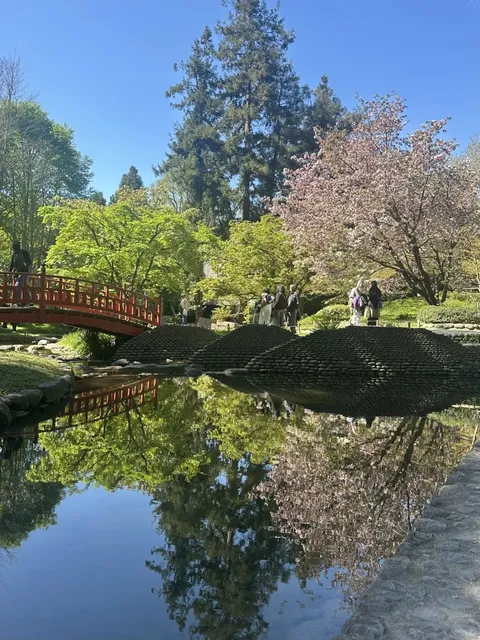 Paris Japanese Garden | Cherry Blossoms That Require a Fee to See 🌸