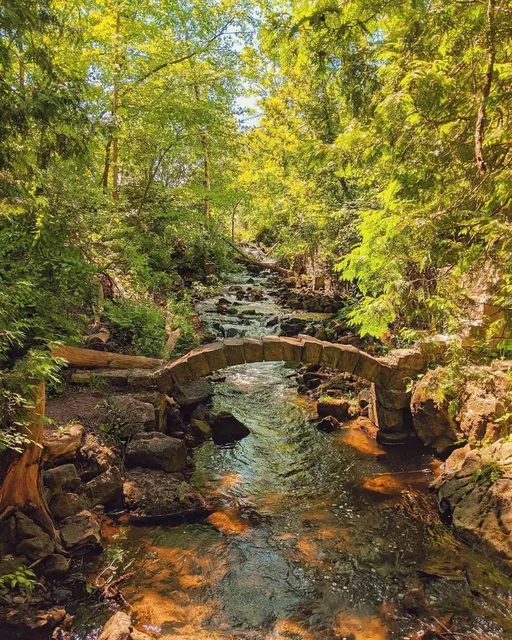 Toronto's Hidden Hiking Gem👣 — Limehouse