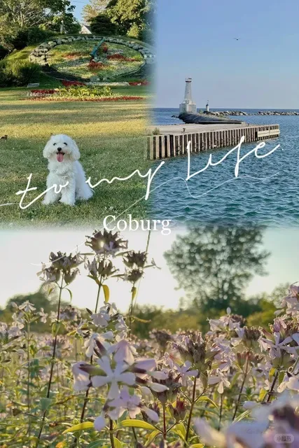 Discover Cobourg 🌊 | A Charming Lakeside Escape Near Toronto  