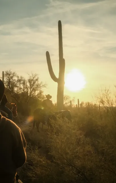  📍Saguaro NP🌵 | The Cowboy Spirit at Sunset🤠