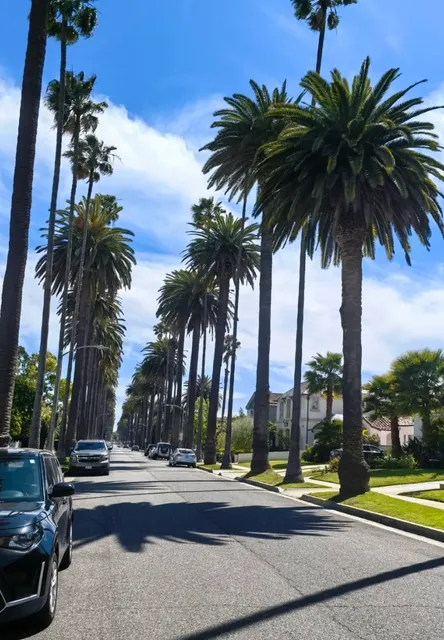 Finding Peace in LA’s Beautiful Views 🌴✨
