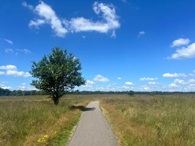 🇳🇱 Netherlands | July Summer Adventure at De Hoge Veluwe 🌞🌲