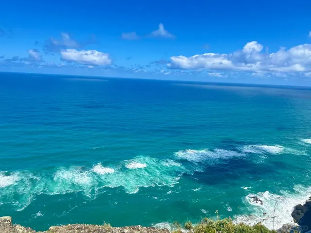 Auckland Day Trip Itinerary: Explore the Best of North Island, NZ 🇳🇿