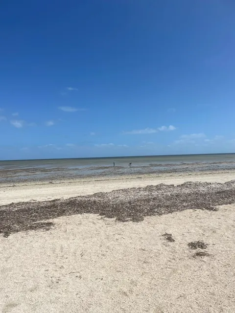 🦀 Adelaide Crab Season Guide 