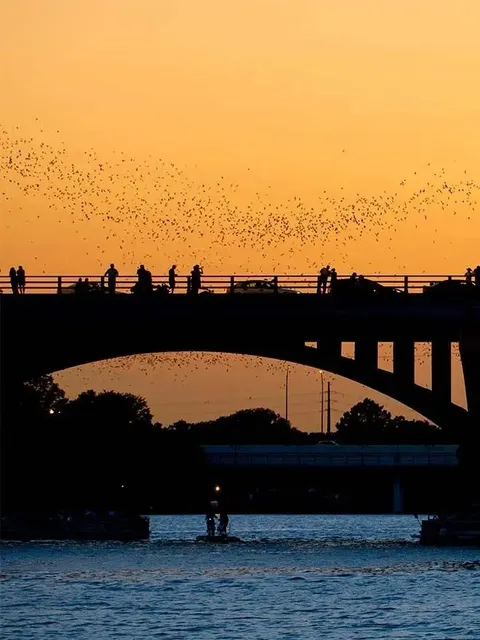 Your Ultimate Long-Stay Guide to the Live Music Capital