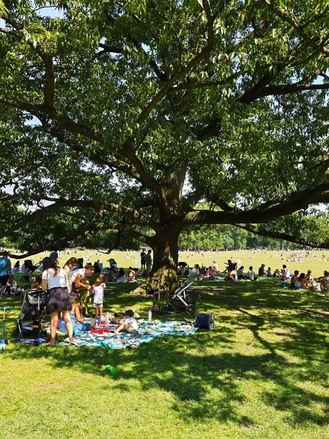  NYC’s World-Famous Sheep Meadow in Central Park