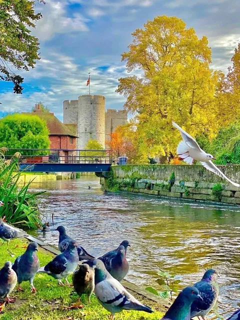 🇬🇧 London | Canterbury - The Fairytale Escape Just 1 Hour Away 🏡✨  