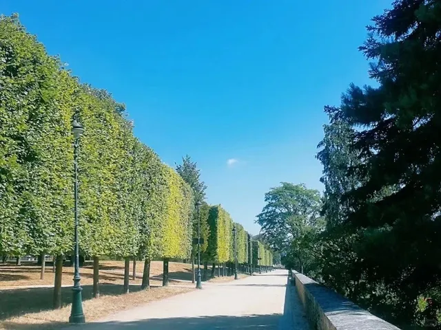 🇫🇷 Poitiers: Where Craftsmanship Meets Daily Life ✨