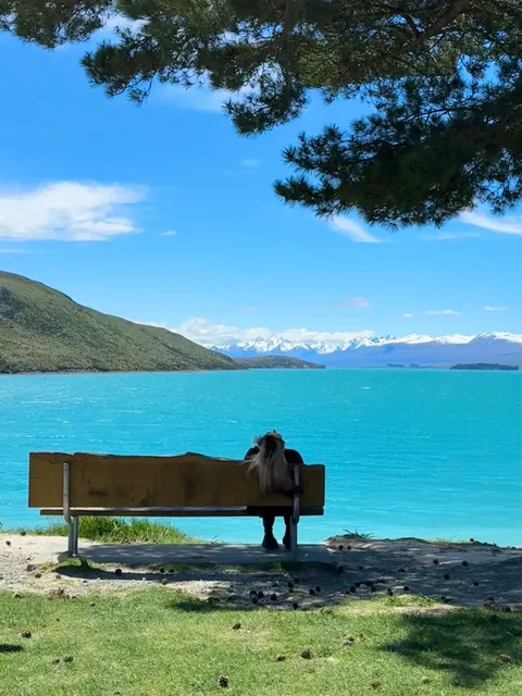 🇳🇿 Solo Road Trip? No Fear! South Island’s EPIC Alone 🚗💨