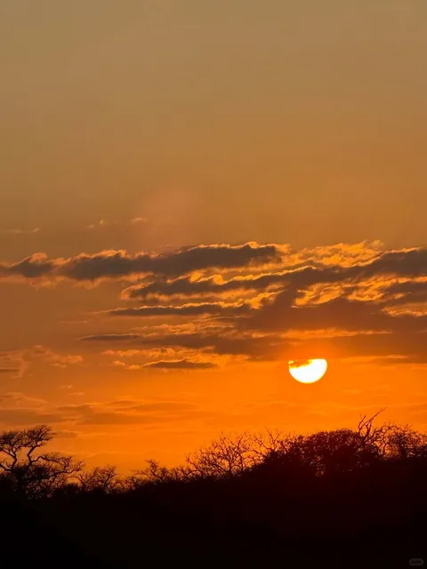 A Dreamy Journey on the Garden Route