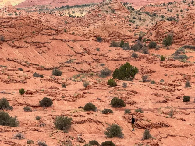 No Substitutes｜The Wave in Arizona is Worth Every Lottery Attempt