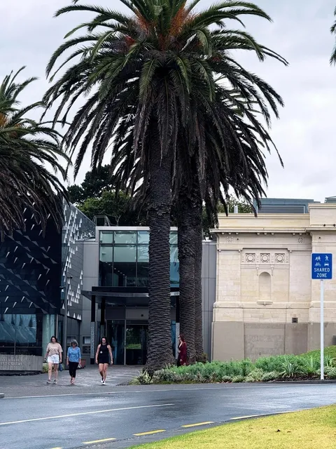 🌊 Whanganui | NZ's Only River-Wrapped City 🏙️