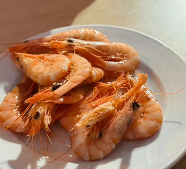 🇪🇸 Kneel to Malaga prices! Super affordable seafood!!!