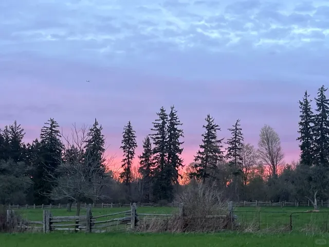 Hiking Recommendation for Bronte Creek Provincial Park in Oakville!! 