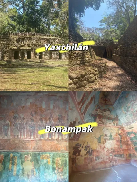 Mayan Ruins: Lost City-States in the Rainforest 🌿 + Mayan "Mogao Cave