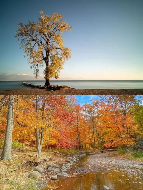 🍂 Best Fall Foliage Spots in Cleveland