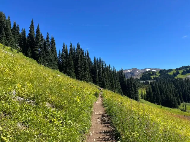 Panorama Ridge: Vancouver's Most Stunning (and Challenging!) Peak 🏔️✨