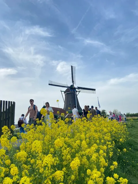 🇳🇱 Amsterdam: The Ultimate 3D2N Itinerary for Free Spirits! 🌷✨