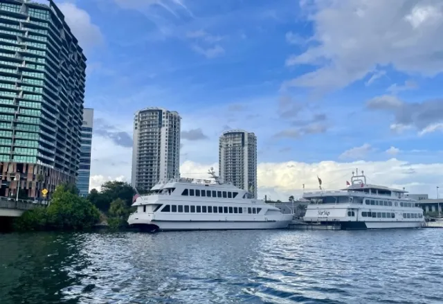 Tampa: White Sand Beach & Dolphin Tour!