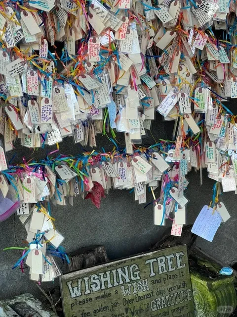 Seattle Wishing Tree | Capitol Hill Wishing Tree 🌳