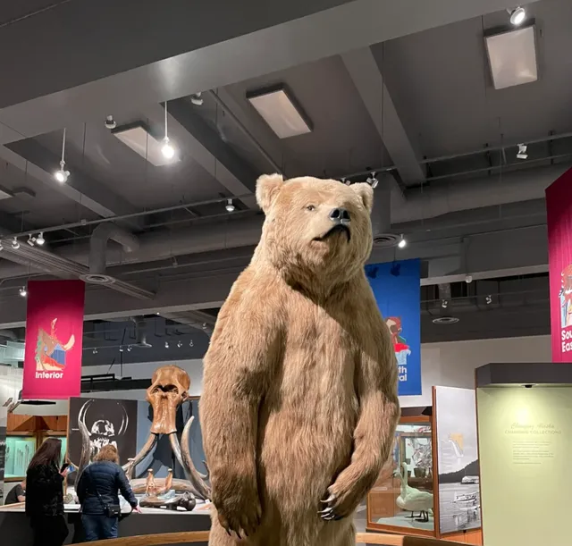🎁🎁 UAlaska Museum of the North