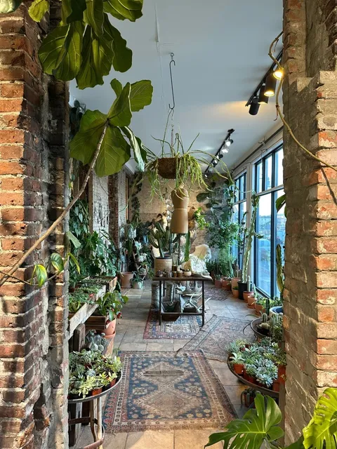 Seed To Stem 🌿 | A Must-Visit Unique Shop in Worcester, Near Boston!