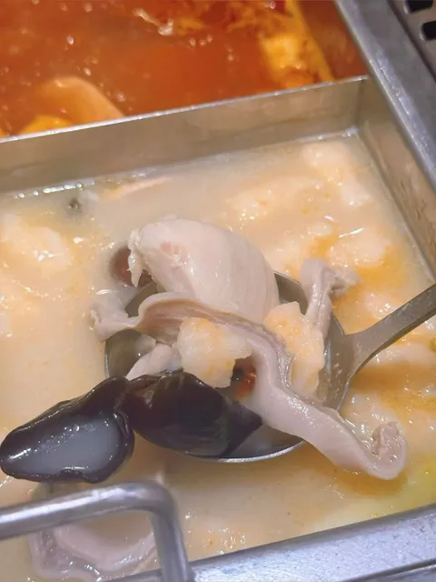 🥘 Haidilao AYCE Hot Pot – Winter is Here, Let’s Feast! 🥰