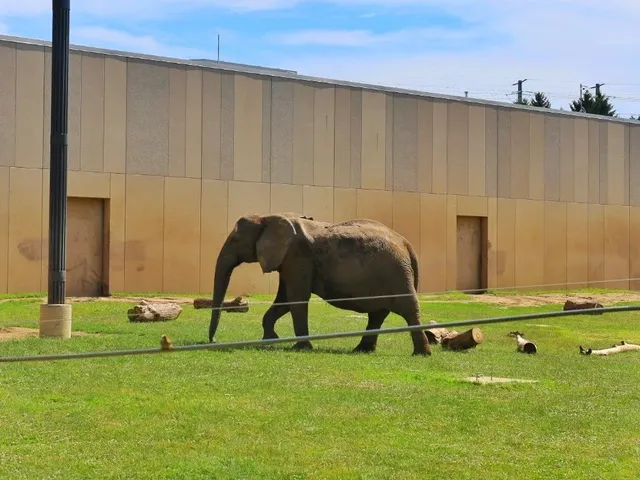 🇺🇸 Milwaukee Family Day Trip｜Zoo, Lakeside & Children’s Museum