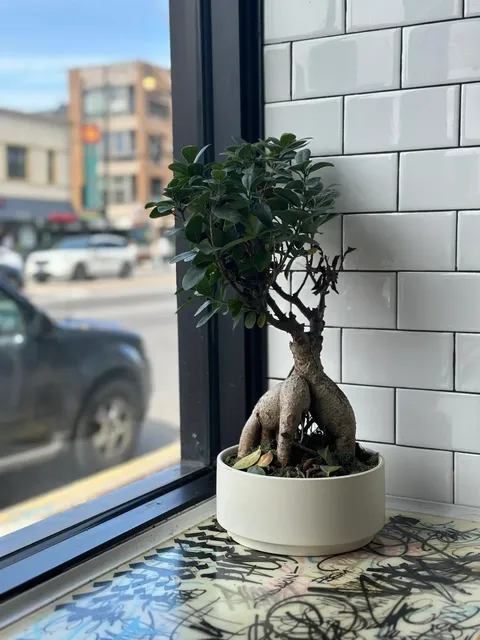 Sando Street — Cute Japanese-Style Sandwiches 🥪