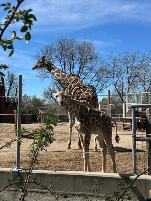 Denver Solo Trip Guide for Girls | Colorado’s Natural Wonders 🌄