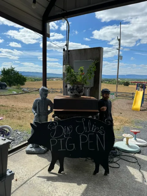 An Amazing Stop Near Shenandoah Valley! 🏞️🚗✨