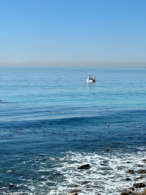🇺🇸 LA Stunning Ocean View Trail (Route & Parking Included!) 🌊🥾  