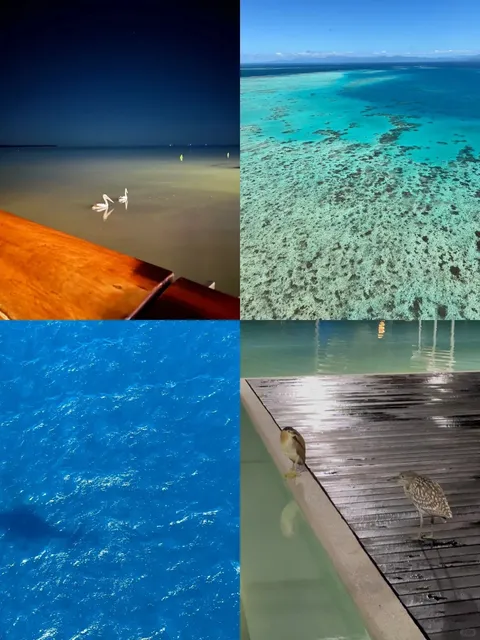 🇦🇺 Cairns 4D3N Travel Guide Part 2 (With Receipts!)