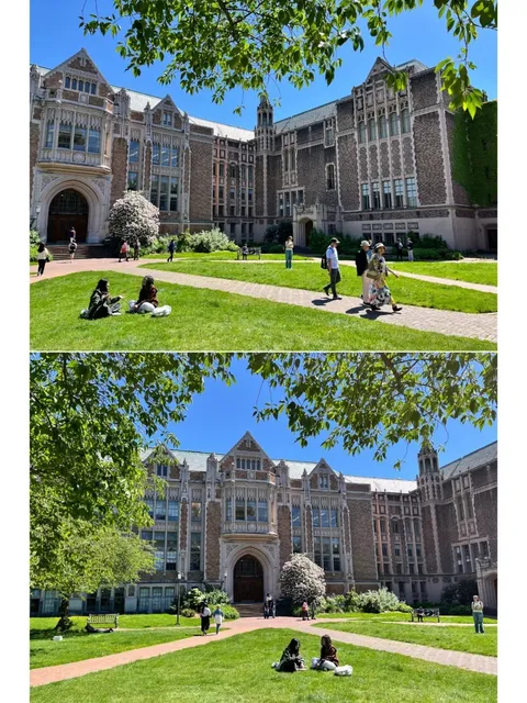 🏛️University of Washington: A Gothic Wonder in the Pacific Northwest 