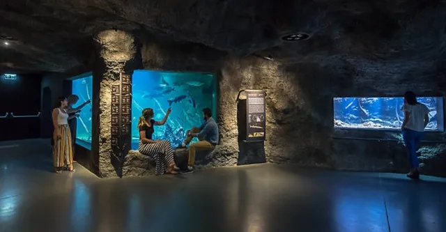 Aquatika: A Window into Croatia's Freshwater World