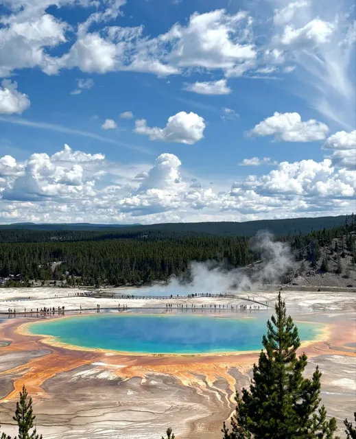 【Yellowstone National Park Guide】Nature's Palette 🎨