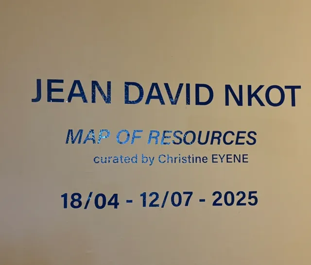  Douala City Walk Adventure | African Survival Skills When Tech Fails