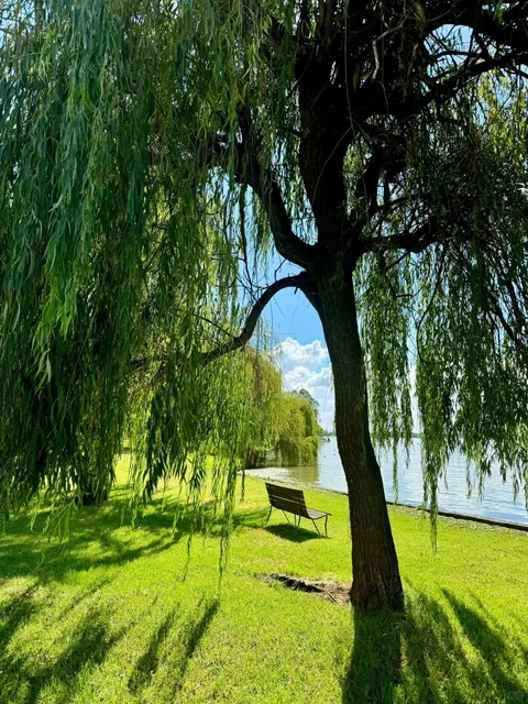 A Leisurely Escape to the Border Towns 🌄✨