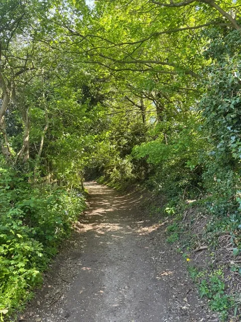 🇬🇧 Coventry's Best Hiking Trails: Nature, History & Fresh Air! 🌳🚶‍