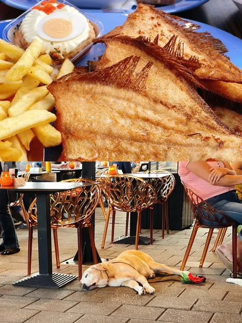 🇳🇱 Netherlands 6-Day Itinerary | The Hague Day Trip Guide