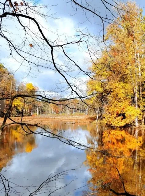 🍂 Rocky River Reservation | A Crown Jewel of Autumn in the Cleveland