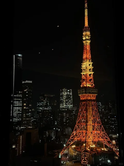Japan | Tokyo Tower | Stellar Garden Night View (2)🌟